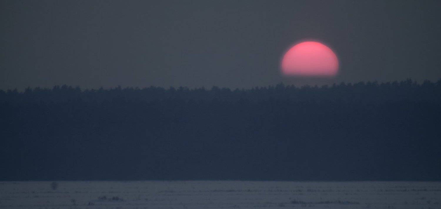 закат, солнце, родина, мать, сынок, Андрей Макеев