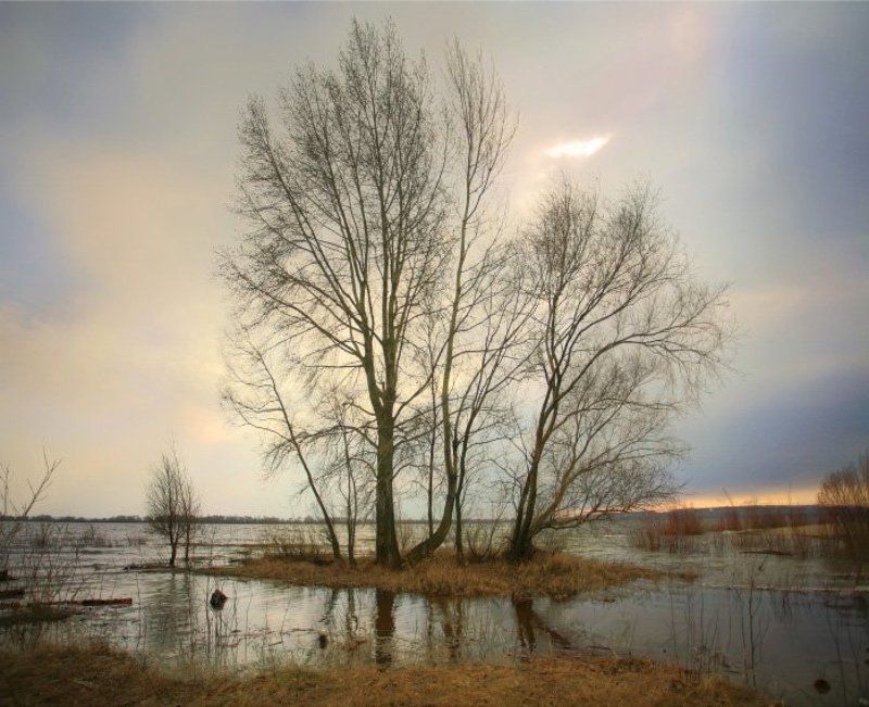 hdr * * * фото превью