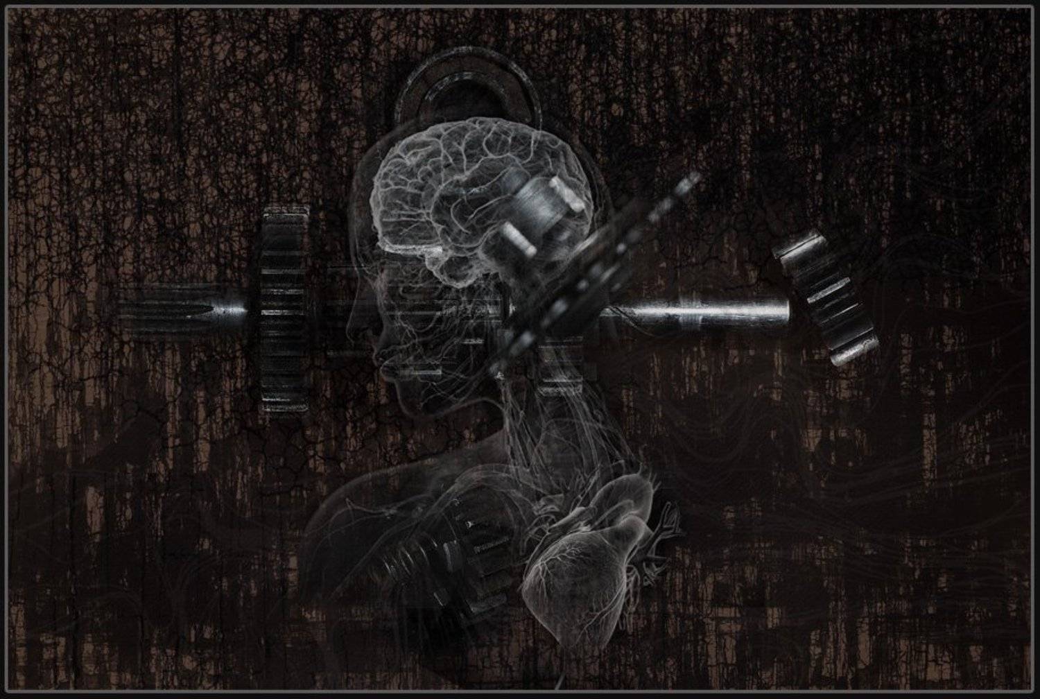 , Веряскин Сергей