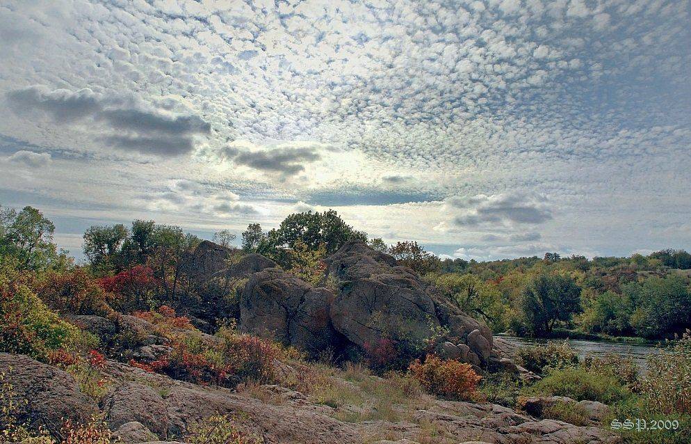 , СЕРГЕЙ СВИРИДОВ(Klematis)