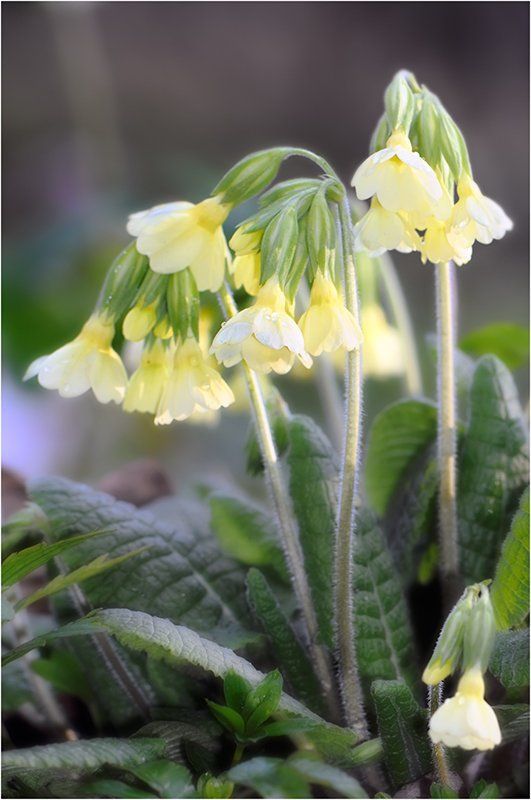 Более чем скромный результат ураганных выходных... фото превью