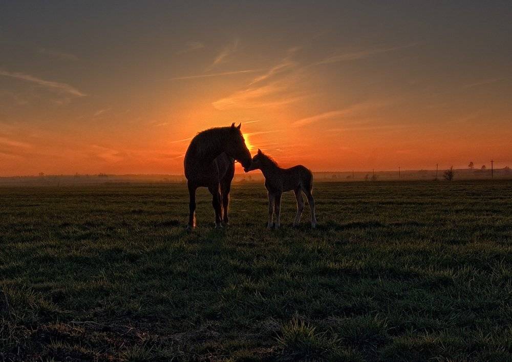 , Александр Титаренко