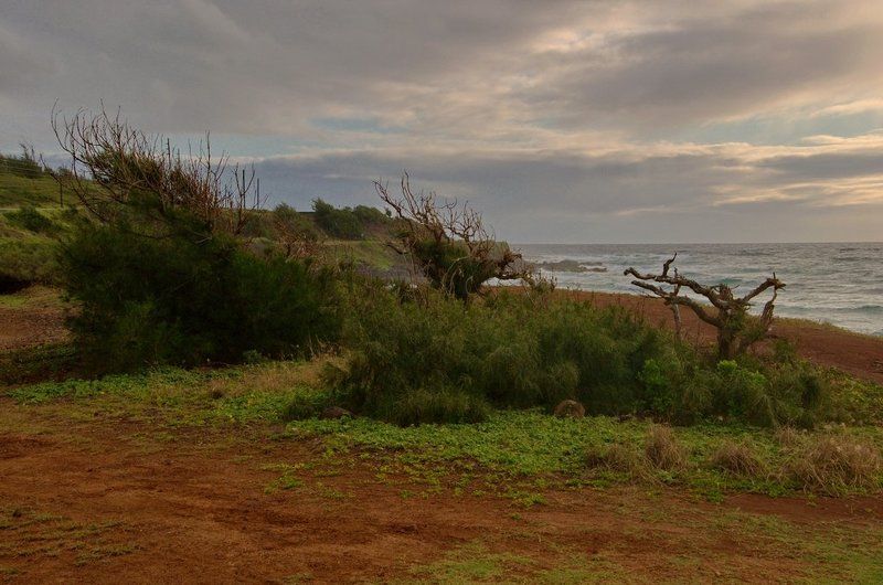 станко, океан, пляж, море, небо, гавайи Навстречу ветру фото превью