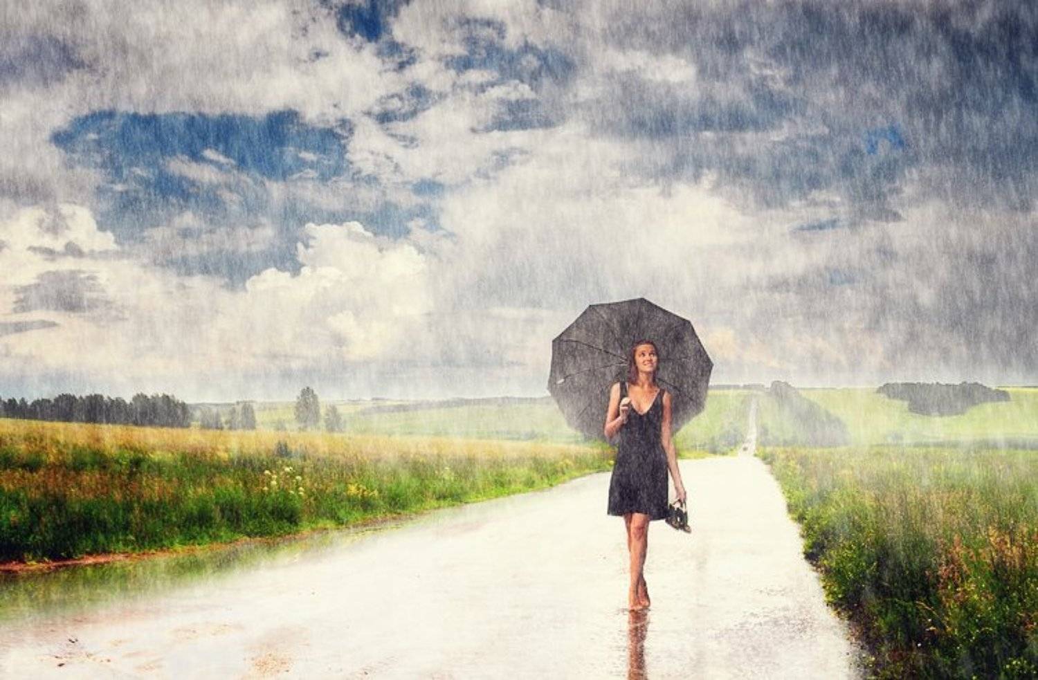 wwwest, Семенов Арсений