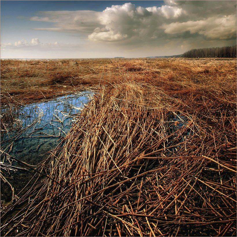 , Gennadi Blohin