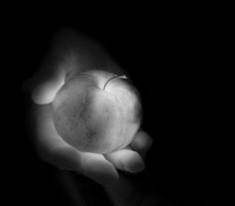 яблоко, свет, сияние, рука, жизнь, нежность, тепло *** фото превью