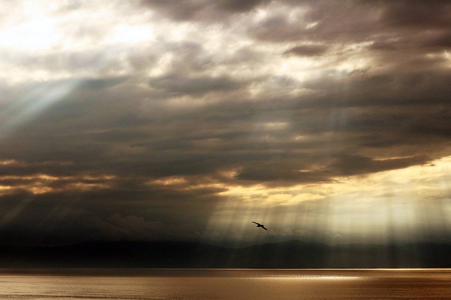 , Александр Борисенко