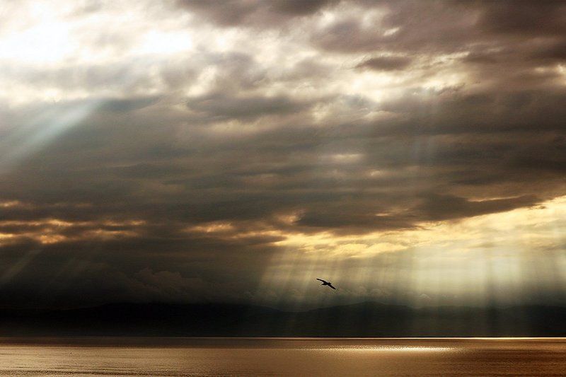 что? фото превью