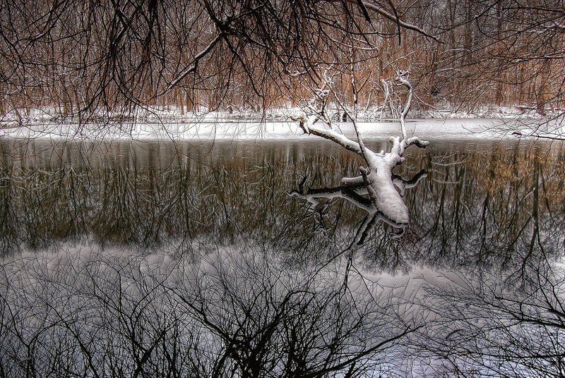 Лосиное озеро фото превью