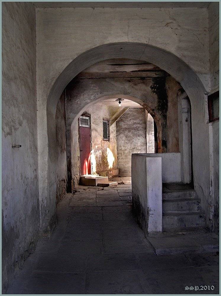 , СЕРГЕЙ СВИРИДОВ(Klematis)