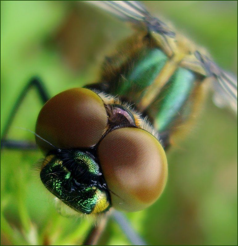 Гипноз фото превью