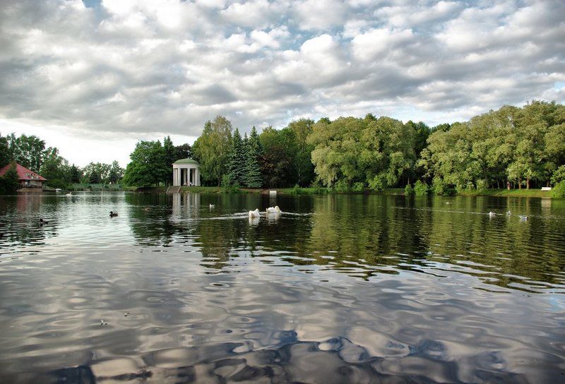 Лебединое озеро фото превью