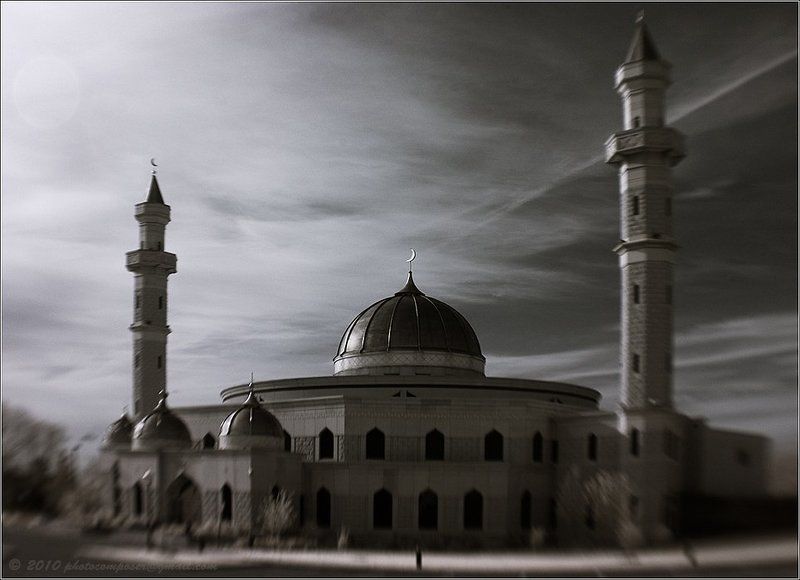 пейзаж, pilgrim, инфракрасный, infrared East/West фото превью