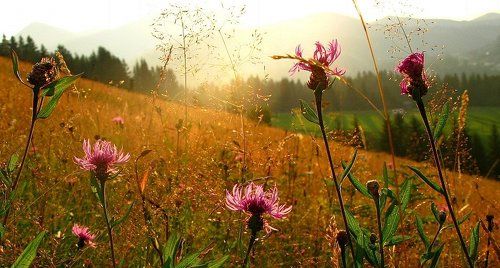 ...in the light.....