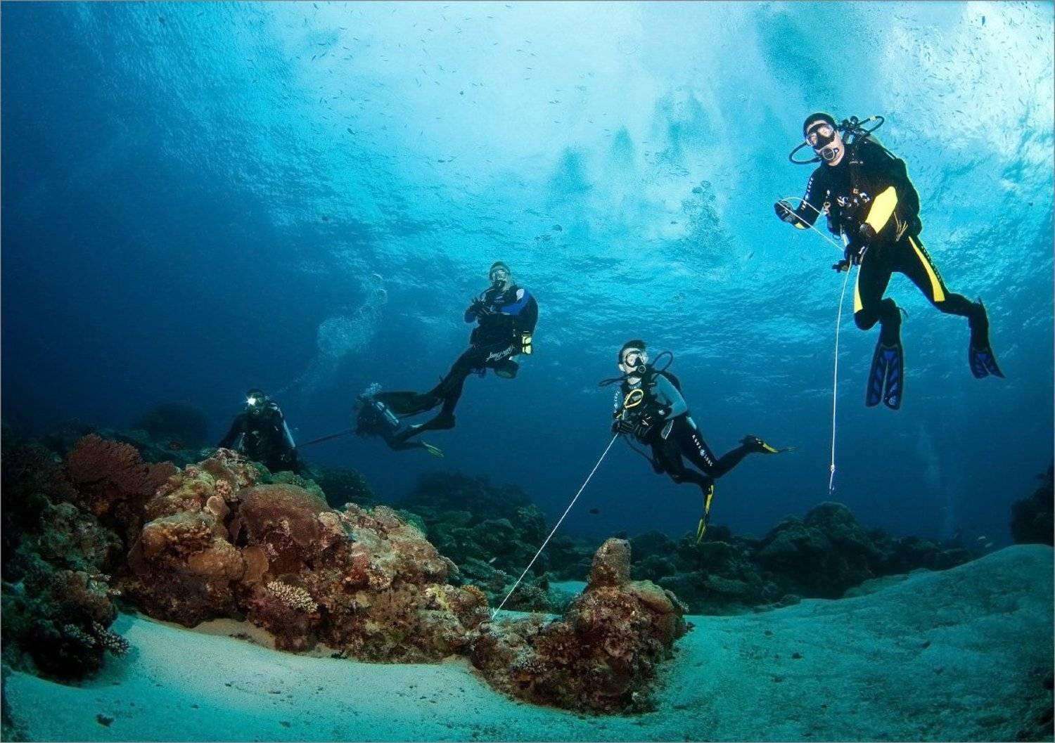 течение, Нетушки