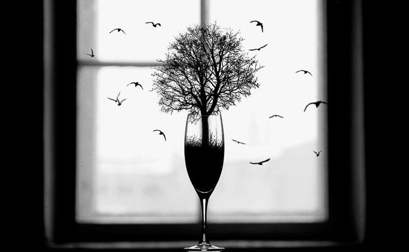 wwwest Природа... фото превью