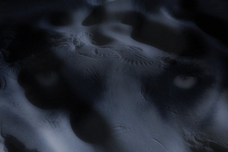 я знаю, что вы делали прошлой зимой... фото превью