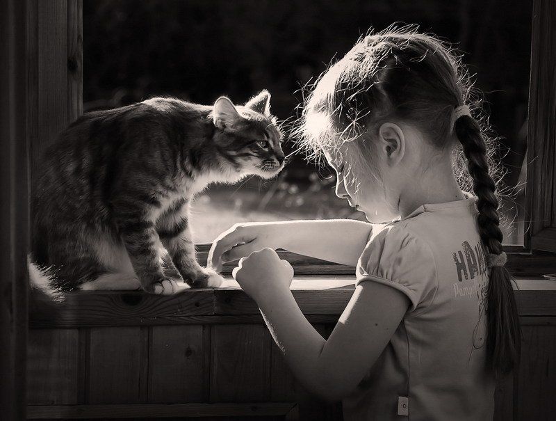 солнечная фото превью