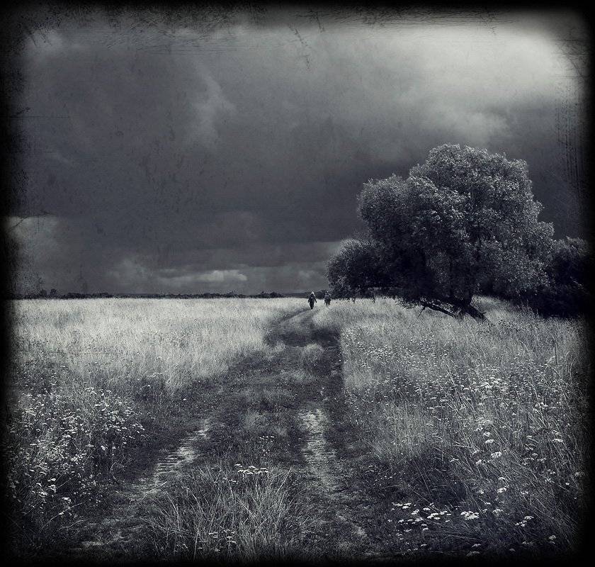 путь, дорога,природа,пейзаж,владимир,шипулин,монохром,чб, Vladim_Shipulin