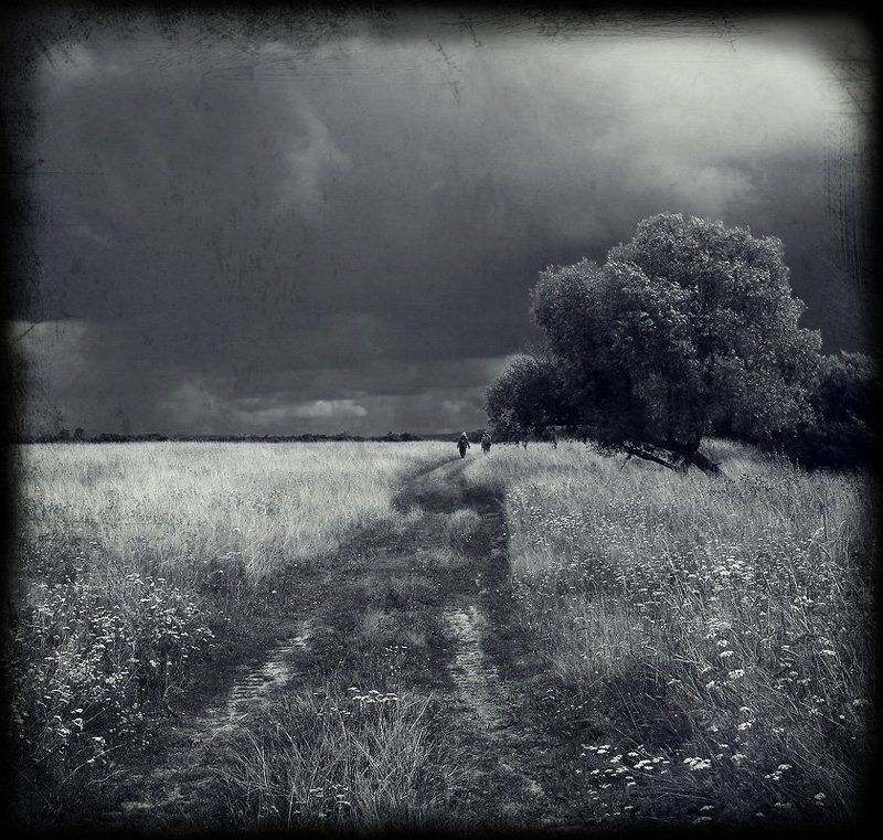The Way... фото превью