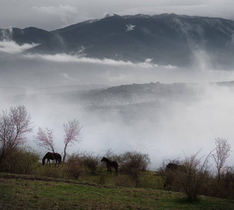, Яна  Гайворонская