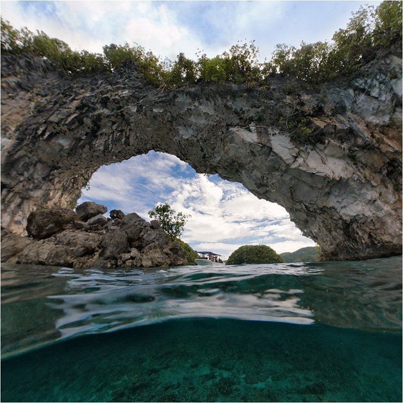 циркуляр Арка фото превью