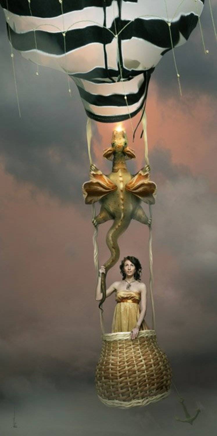 платье, раковина, корзина, Владимир Федотко