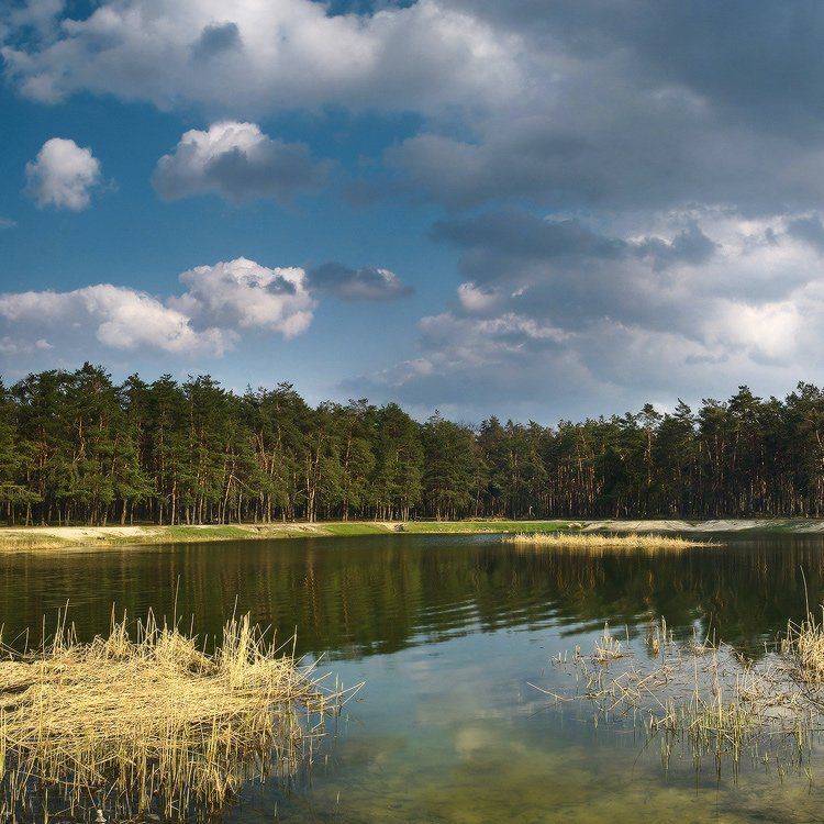 , Михаил Мочалов