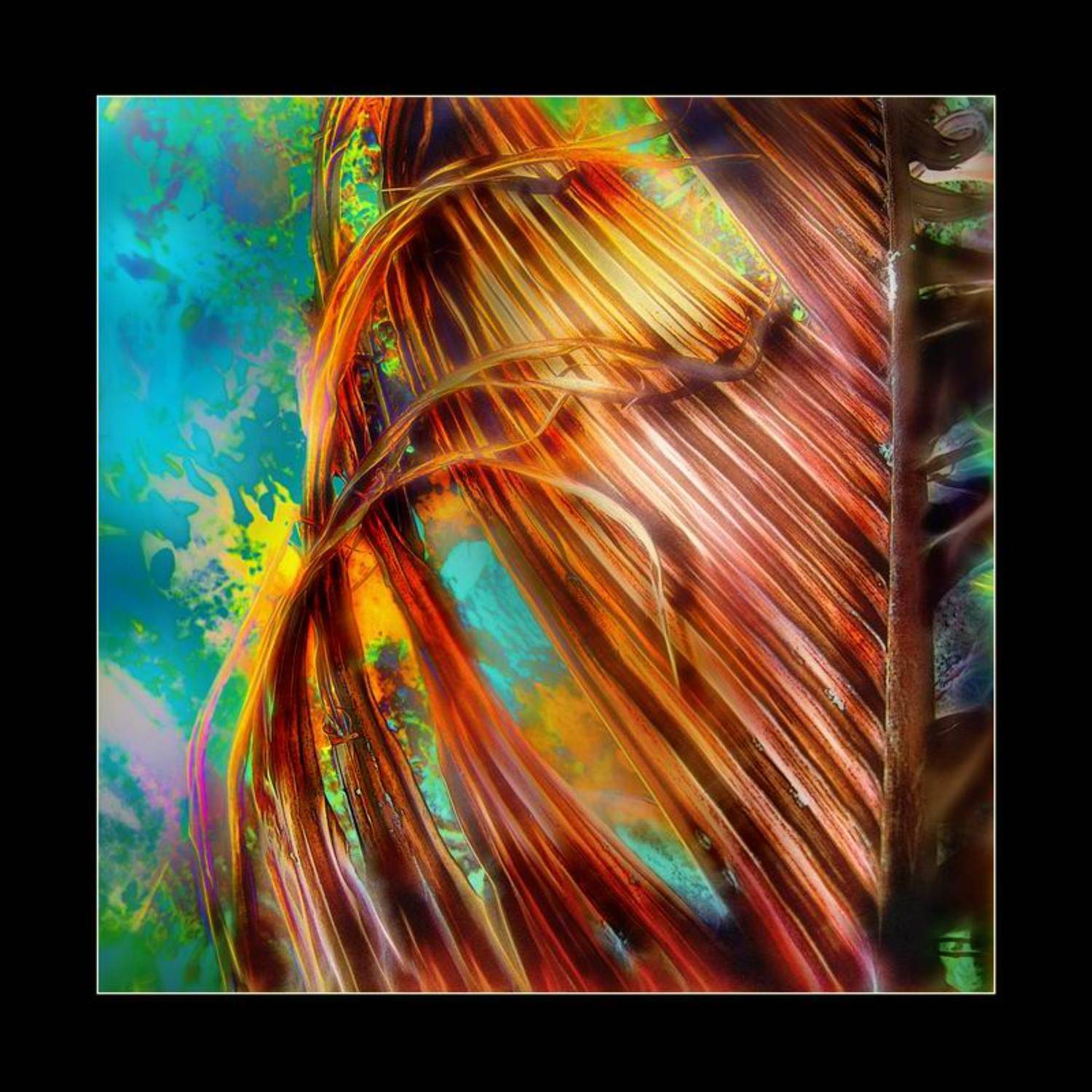 тропики, остров, пальма, николай дмитрук