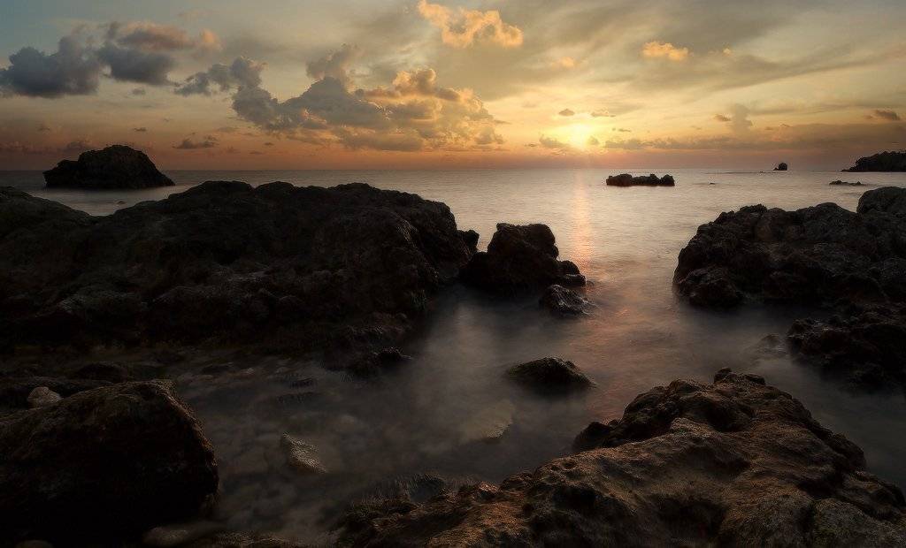 , Яна  Гайворонская