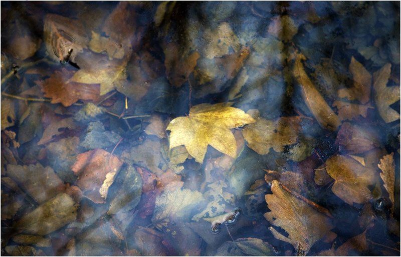 ...вальс фото превью