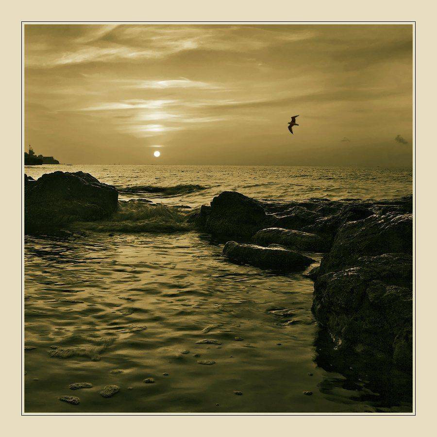 закат, вечер, море, камни, пейзаж, крым, Oleg Dmitriev