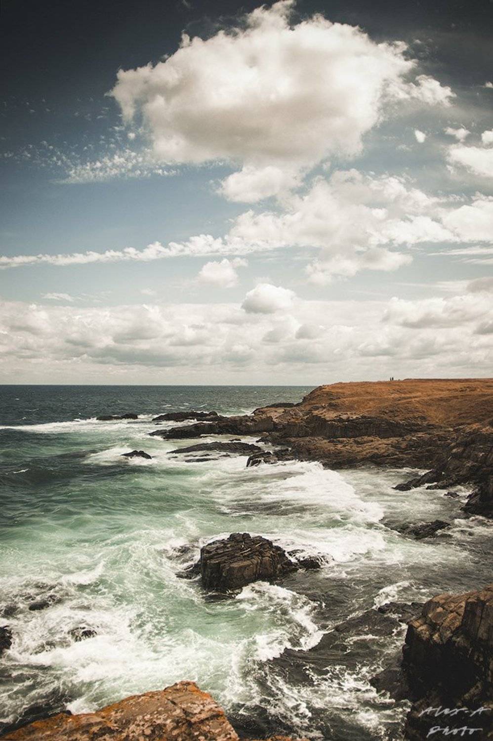 , Александра Александрова