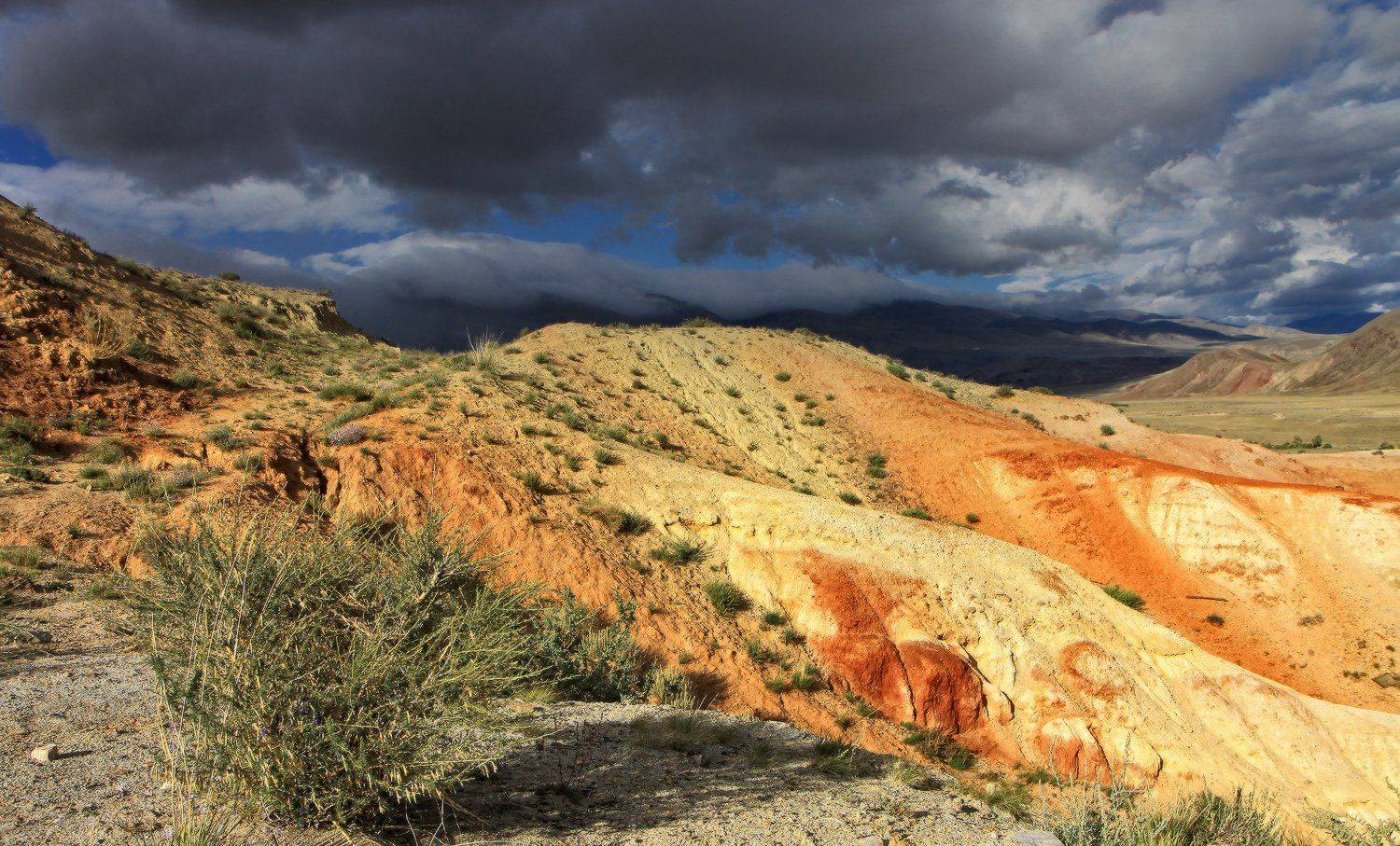 , Галина Хвостенко