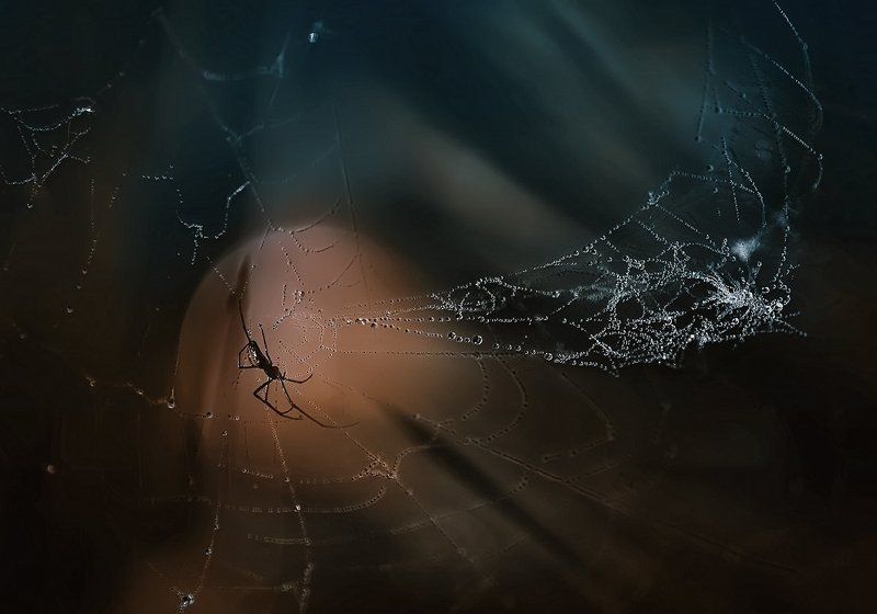 своя вселенная.. фото превью