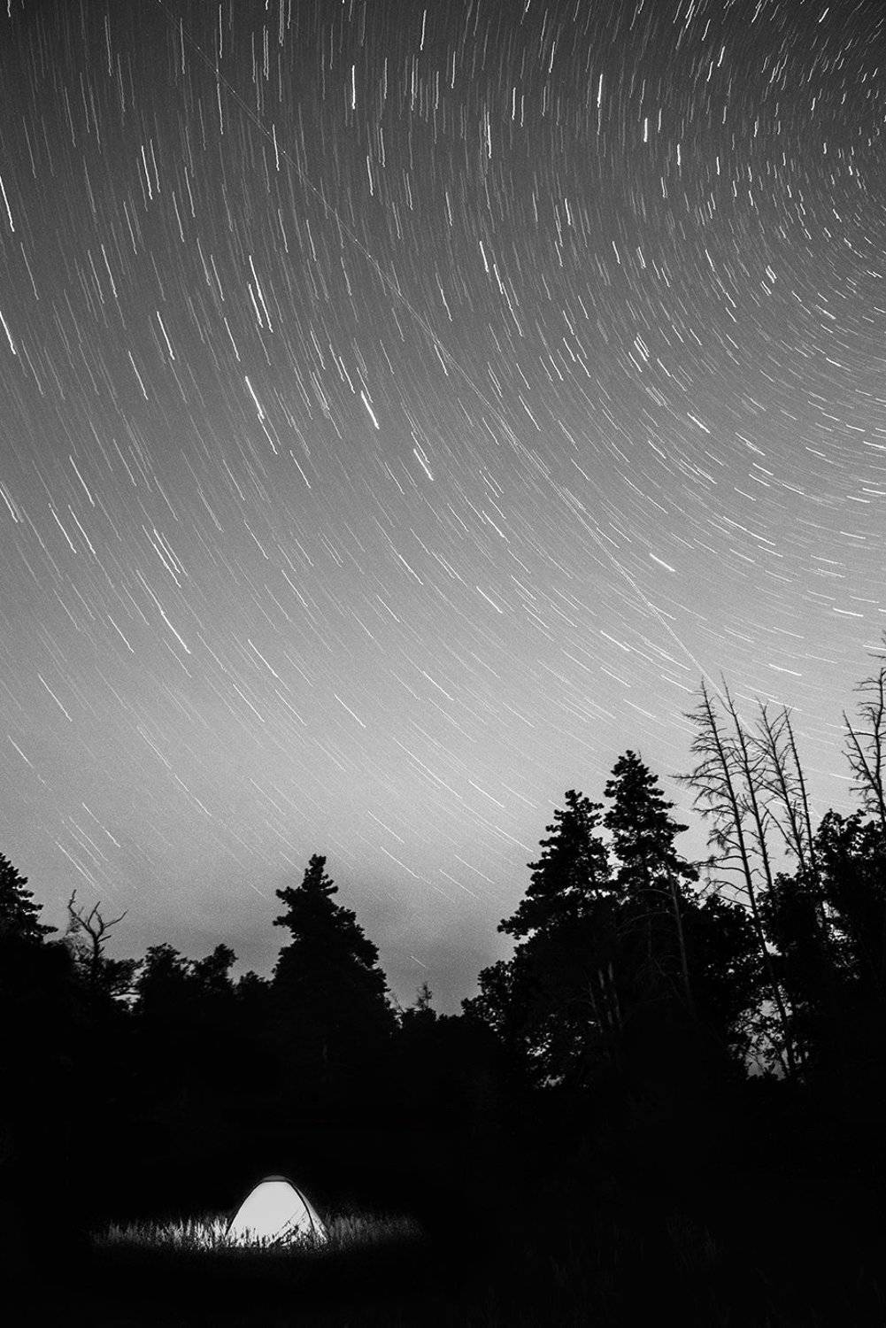 , Роман Рыжков