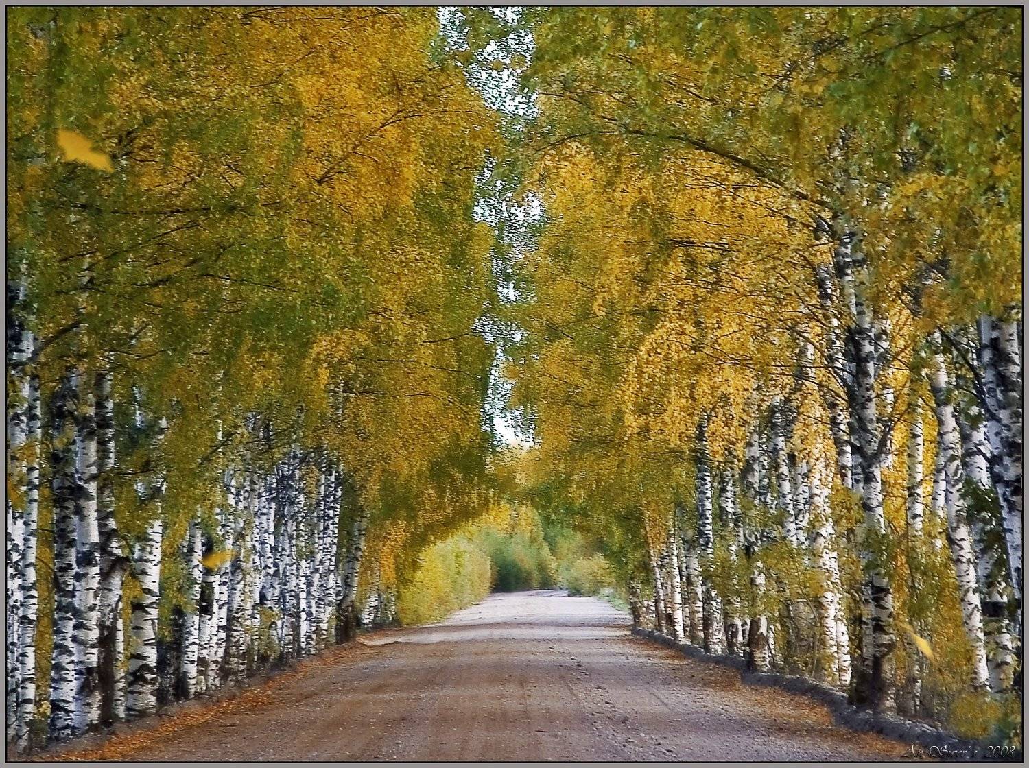 , Андрей Север