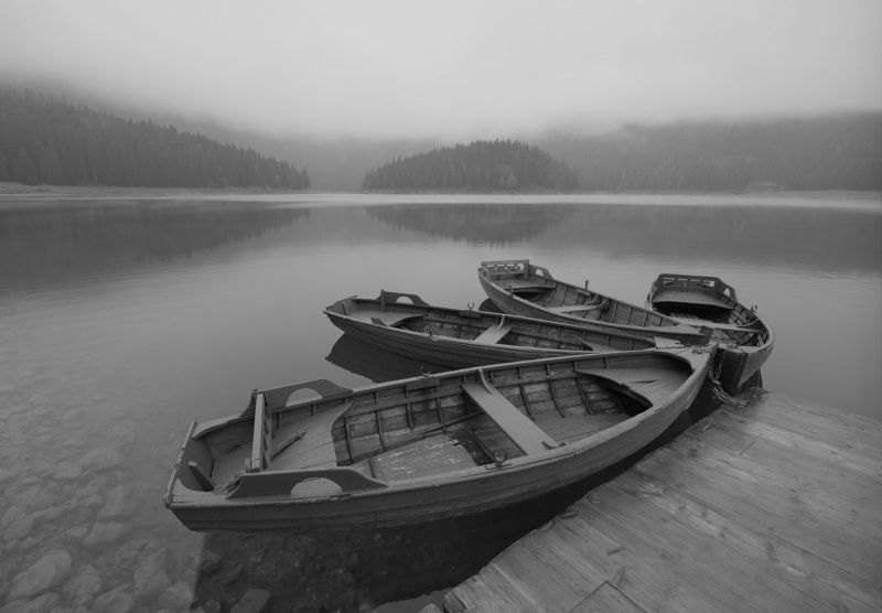 2+2, монохром фото превью