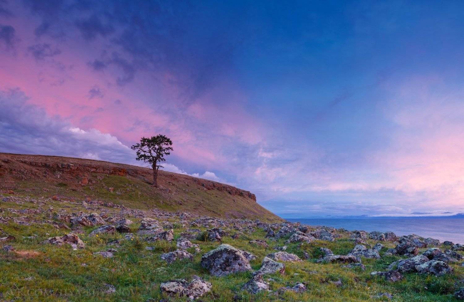 , Илья Буянов