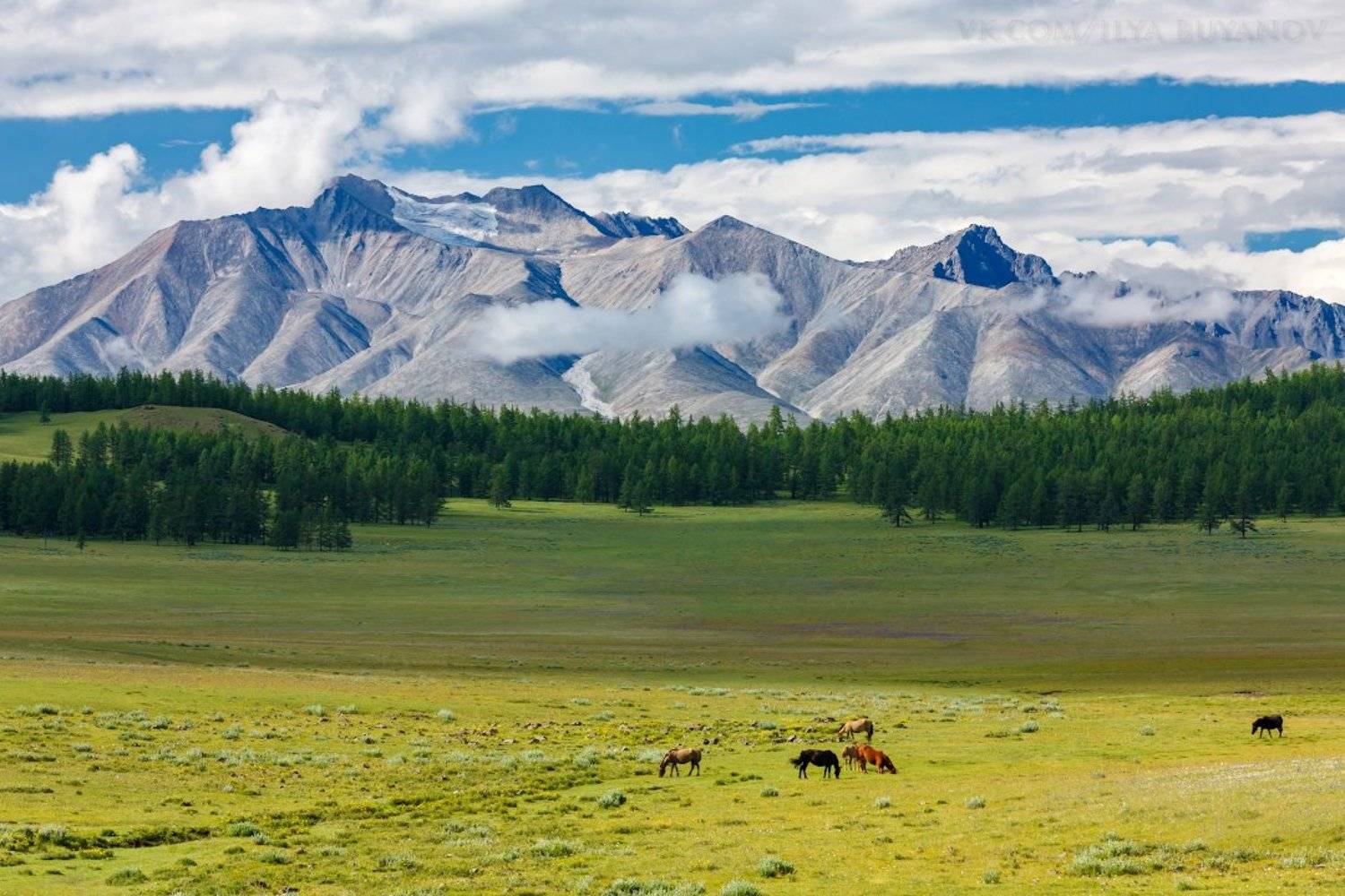 , Илья Буянов