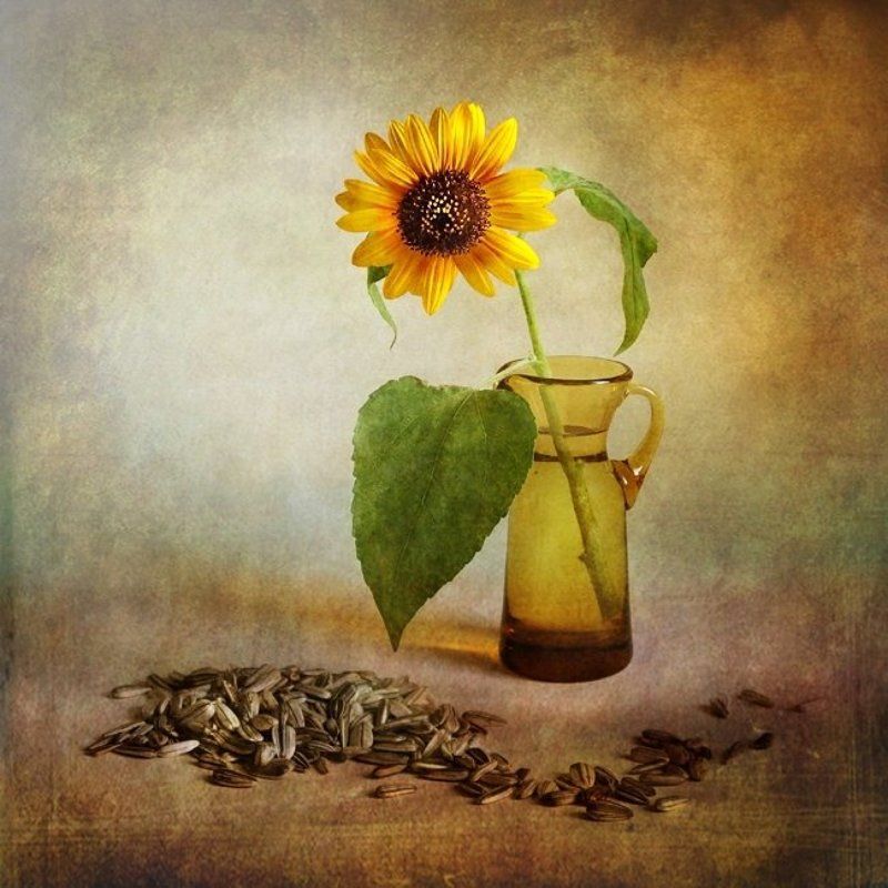 Pożegnanie lata фото превью