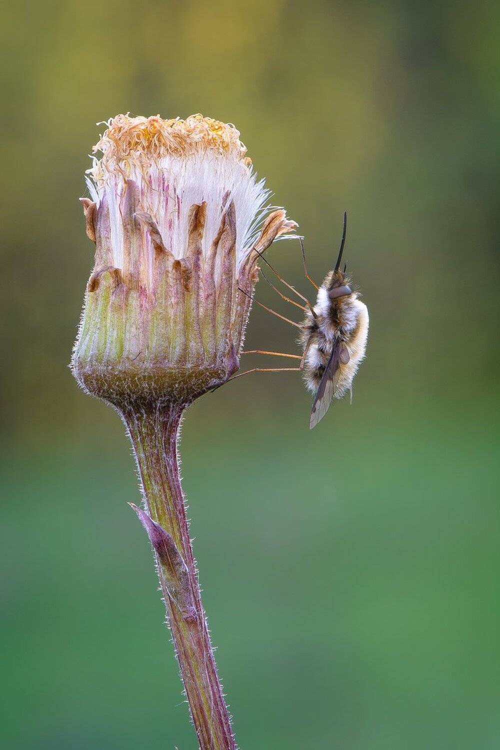 , Кузнецов Дмитрий