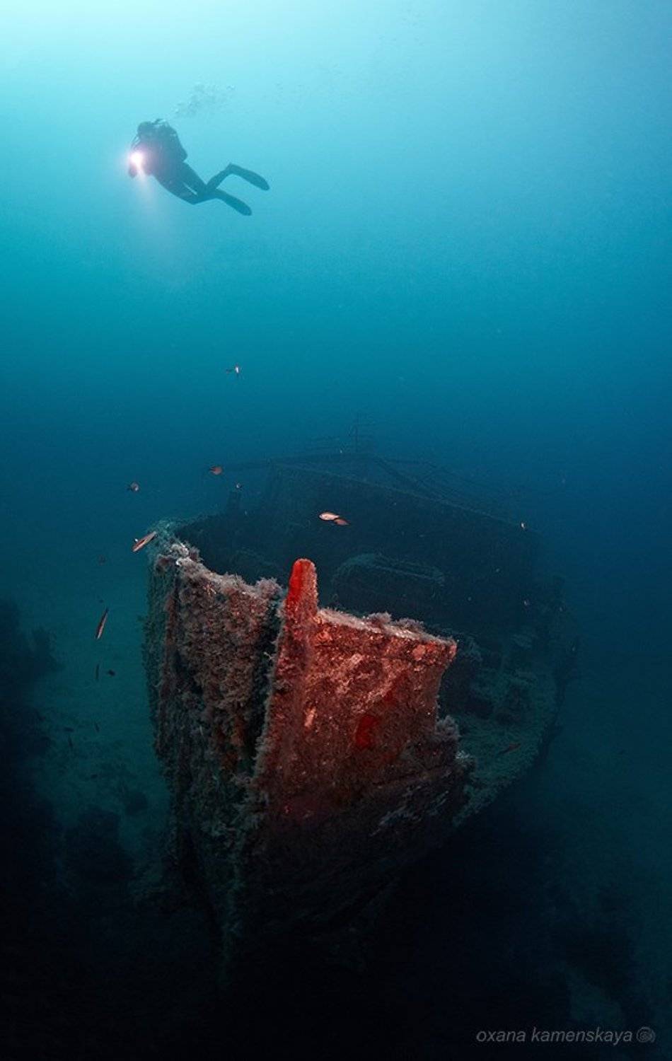 , Оксана Каменская