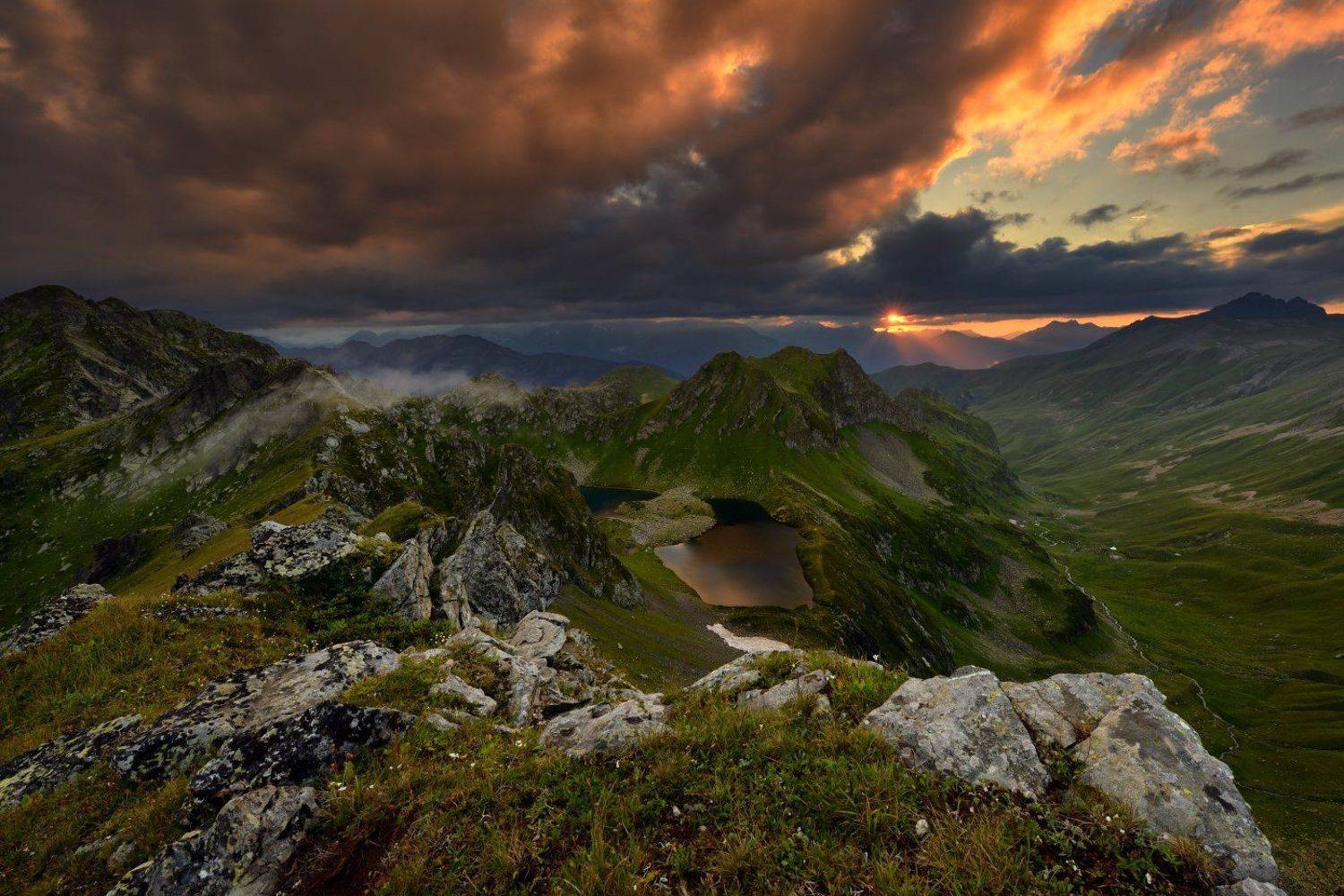 , Максим Евдокимов ( www.wildphotorus.ru )