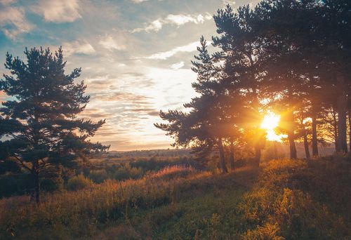 С добрым утром!