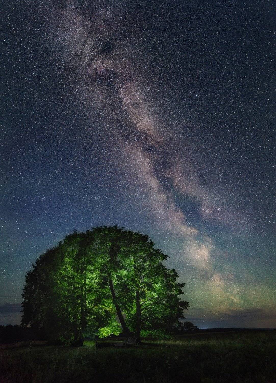 млечный путь, ночь, небо, природа, свет, липы, Устюжанин Михаил