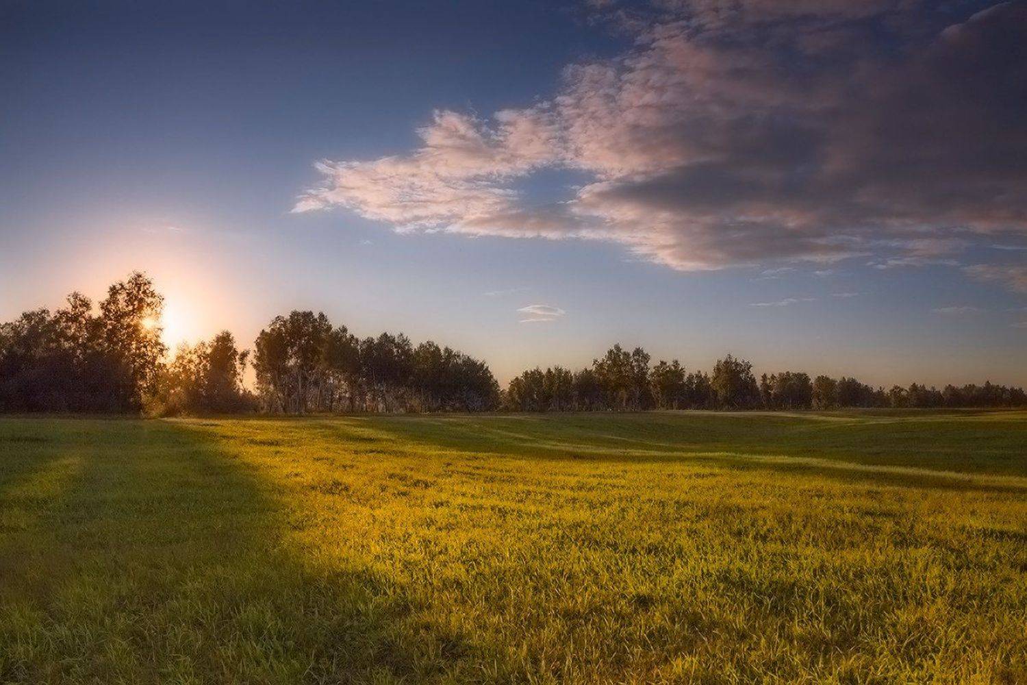 , Николай Морский