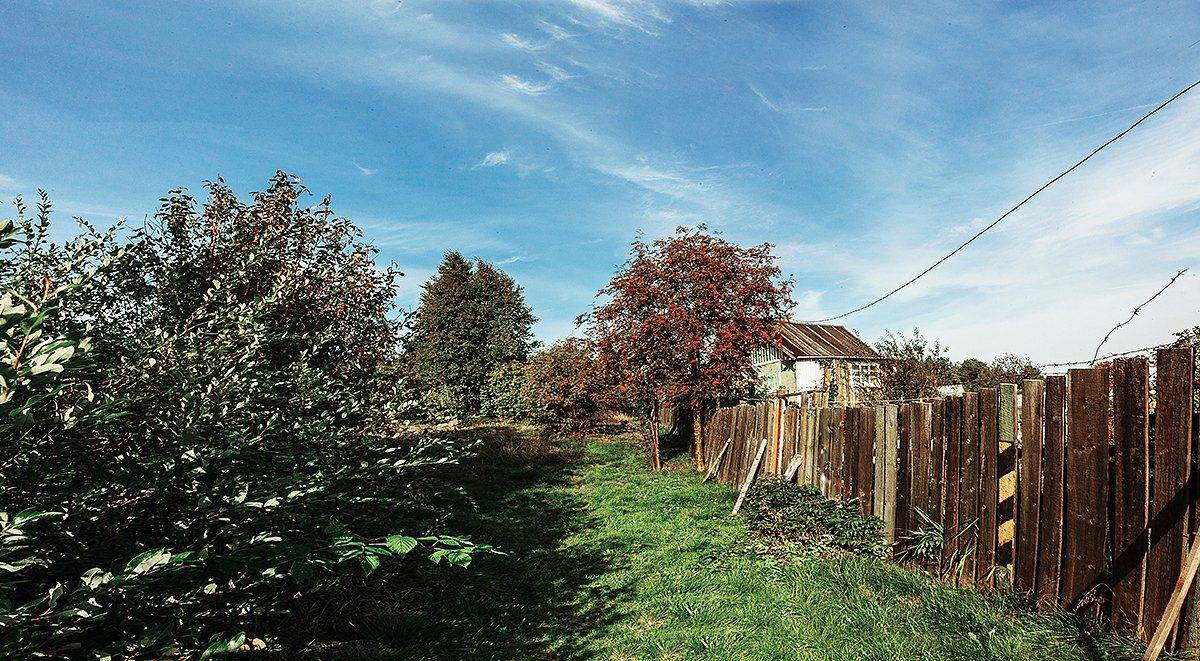 #art #illustration #drawing #draw #picture #photography #artist #sketch #sketchbook #paper #pen #pencil #artsy #instaart #beautiful #instagood #gallery #masterpiece #creative #photooftheday #instaartist #graphic #graphics #artoftheday, Подойницин Геннадий