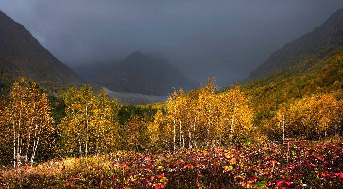 , Елена Брежицкая