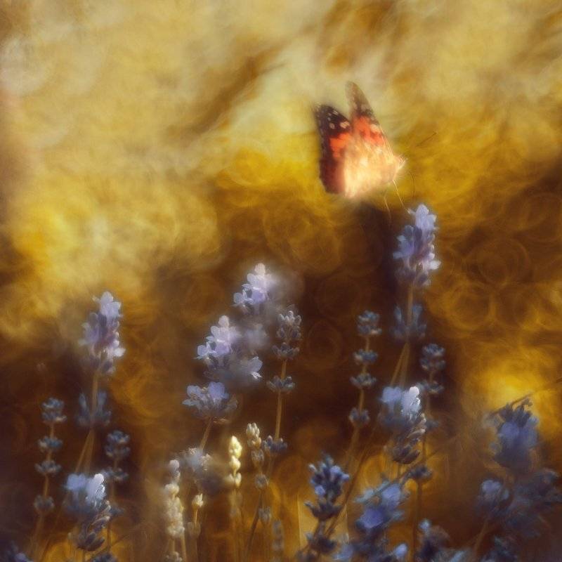 , Татьяна Аверина